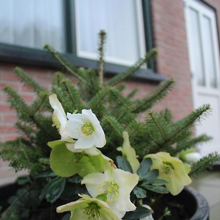 Landzicht Apartman Woubrugge Kültér fotó